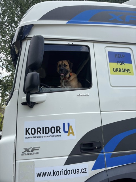 Мініатюра 30