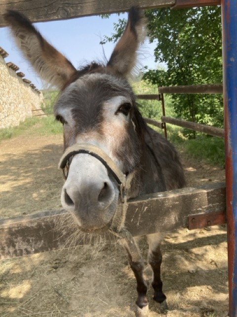 Мініатюра 12