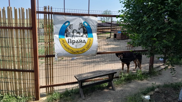 Мініатюра 7