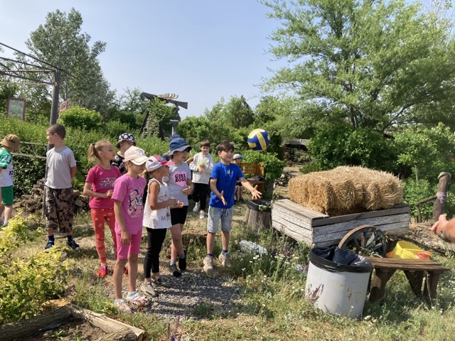 Мініатюра 8