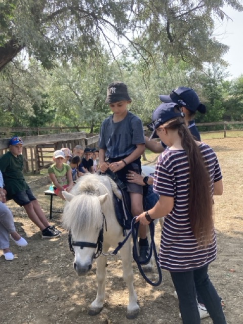 Мініатюра 9